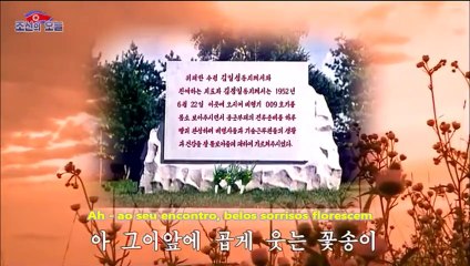 "Três flores silvestres"