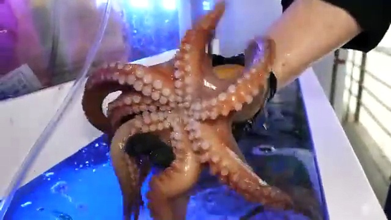 Octopus Seafood soup - Korean street food