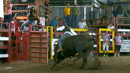 Monta Mop - 29 de marzo