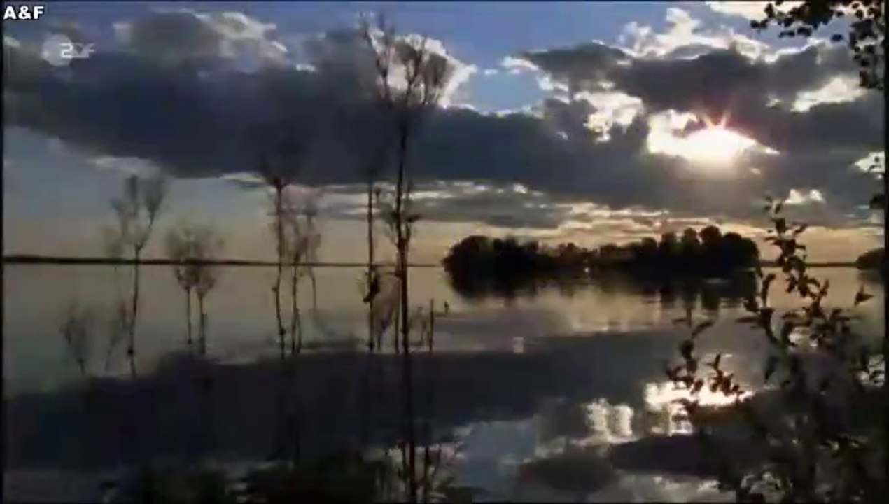 Inga Lindström -016- Emma Svensson und die Liebe