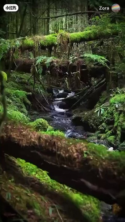 Happy environment