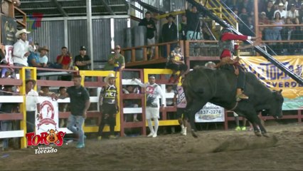 Monta Diez - 29 de marzo