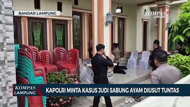Kapolri Minta Kasus Judi Sabung Ayam di Lampung Diusut Tuntas