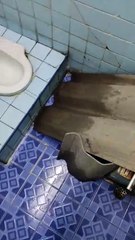 My first time experiencing how thentiloilets work