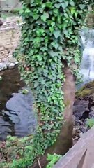 Spring 2025, one day trip in livadia town