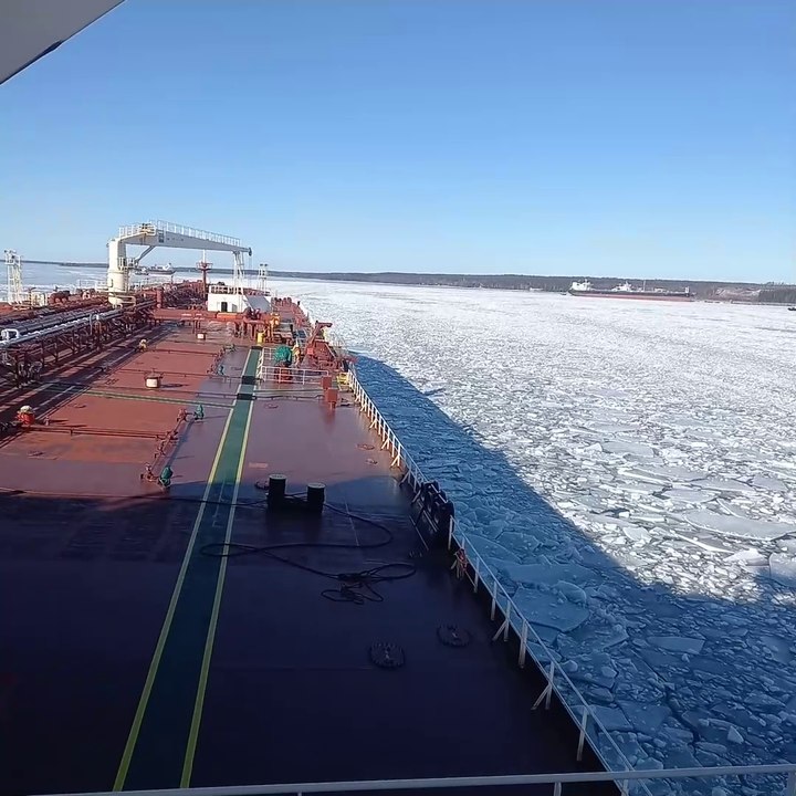 Frozen Sea