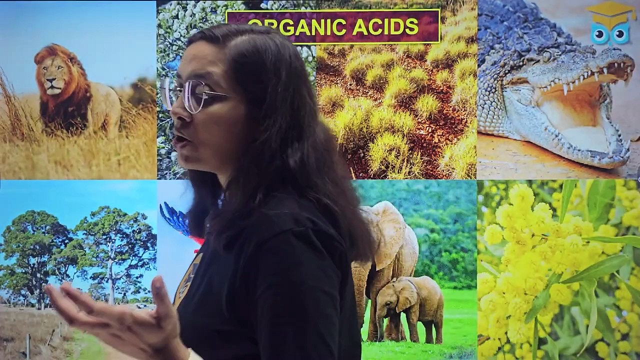 Acids_ Bases and Salts _ PART - 2 _ Chemical Properties and Definition _ Boards _ SCIENCE CLASS 10(720P_HD)