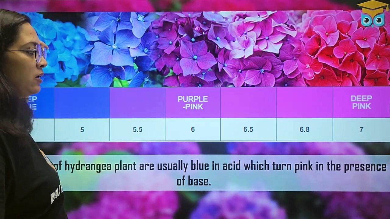 Acids_ Bases and Salts _ PART - 1 _ Boards _ SCIENCE CLASS 10(720P_HD)