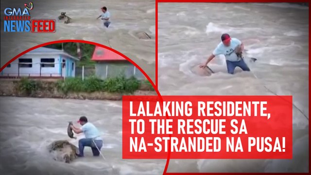 Lalaking residente, to the rescue sa na-stranded na pusa! | GMA Integrated Newsfeed