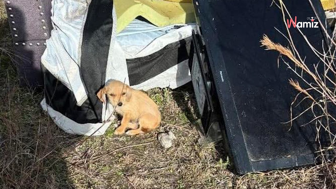 A chance encounter on the way to work changes several families' lives forever