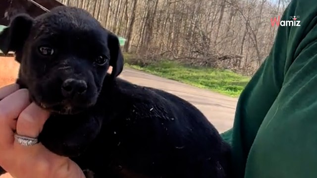 Elle fait une sombre découverte près d'une benne à ordures : 4,6M de personnes restent sous le choc (vidéo)