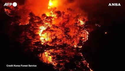 Brucia la Corea del Sud, diverse decine di morti