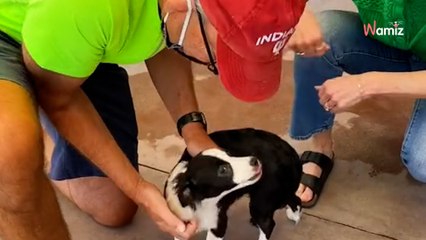 Mann sitzt den ganzen Tag vor Tierheim: Der Grund rührt zu Tränen