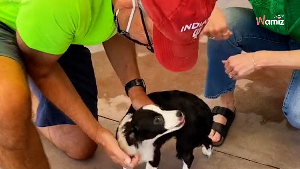 Mann sitzt den ganzen Tag vor Tierheim: Der Grund rührt zu Tränen