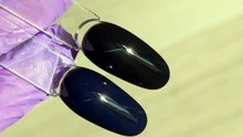 Mojo Universal Top Coat