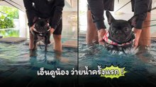 หัดว่ายน้ำครั้งแรก ก็จะประมาณนี้…