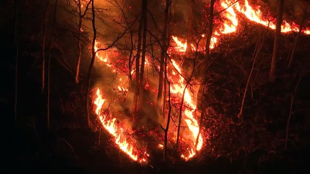 Südkorea: Dutzende Tote bei verheerenden Waldbränden
