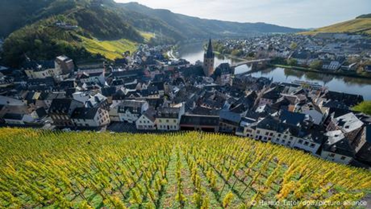 US-Zölle bedrohen deutsche Winzer