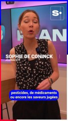 Les purificateurs d’eau : vraiment utiles en Belgique ?