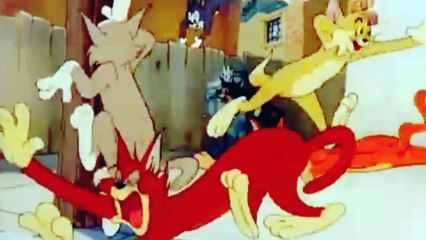 Fany. Cartoon toman jerry. Part.1/comedy.