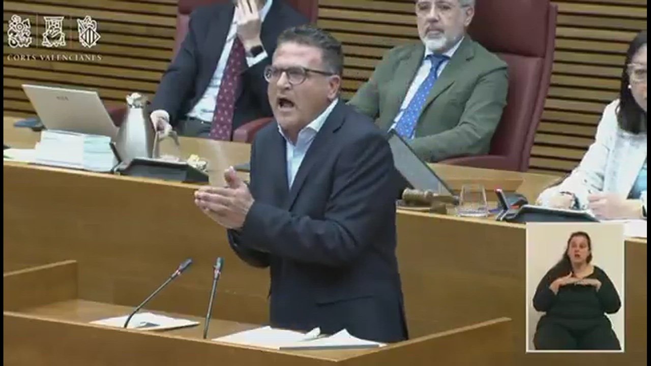 Un diputado del PP valenciano llama "caniche de Gandía" y "ratonera de Valencia" a Diana Morant y Pilar Bernabé
