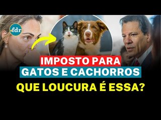 IMPOSTO PARA QUEM TEM GATO E CACHORRO? VEJA O QUE O GOVERNO DISSE SOBRE A NOVA POLÊMICA!