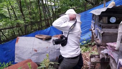 Justiça turca liberta oito jornalistas, entre eles fotógrafo da AFP