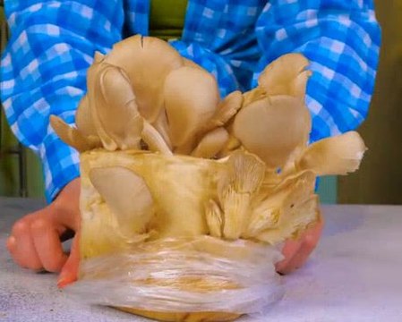 Grow Smart, Spend Less! Budget-Friendly Indoor Gardening Hacks!