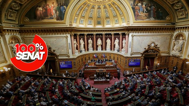 100% Sénat - Justice des mineurs : le Sénat adopte des mesures polémiques
