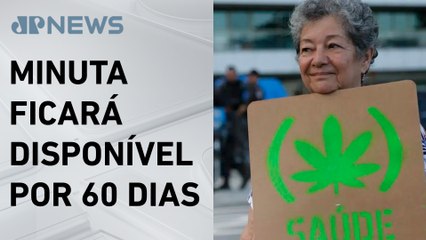 Anvisa aprova consulta pública sobre regulamentação do uso da cannabis