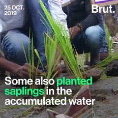 A Whole Lotta Potholes