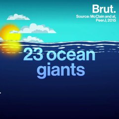 Man And The Ocean Giants