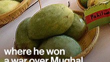 An Ultimate Mango Guide