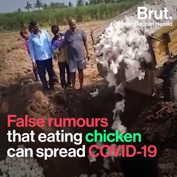 Chickens Buried Alive Due To Coronavirus Rumours
