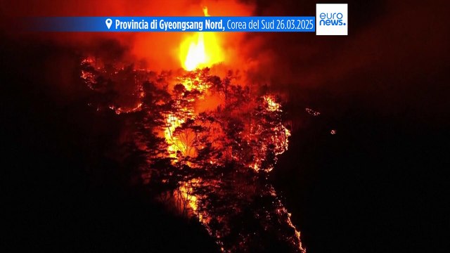 Corea del Sud, 26 morti negli incendi che devastano il sud: sono i più gravi nella storia del Paese