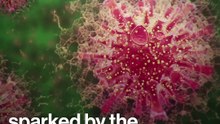 Coronavirus In India