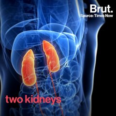 Ambulance Delivers Live Organs In Exceptional Time