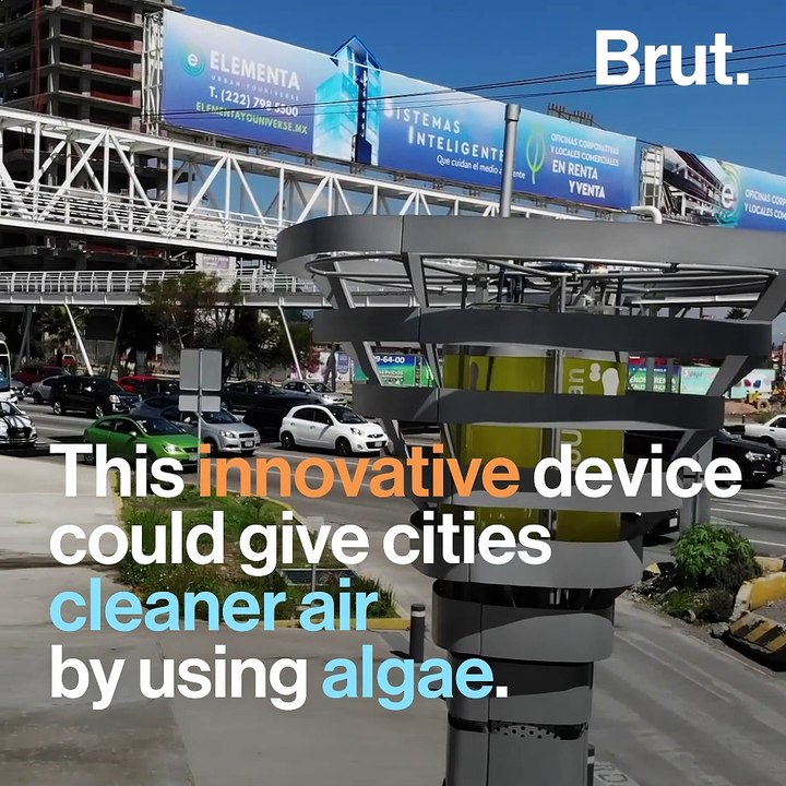 This Device Cleans The Air Using Algae
