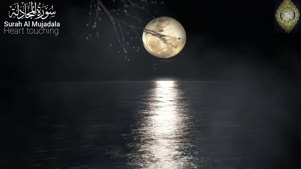 Quran recitation with beautiful voice  Heart-Touching Recitation of Surah Al-Mujadila | Soothing & Powerful 📖✨ #allah#quran#islam#peace#tilawat#recitation