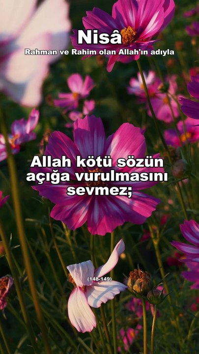 248-) Nisa (148-149) Türkçe Kuran Hatmi  #hatim #shortvideo #psikoloji #motivation #kuran