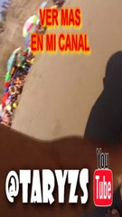 PEDAZO DE CANGREJO EN PLAYA DE COSTA VERDE PERU