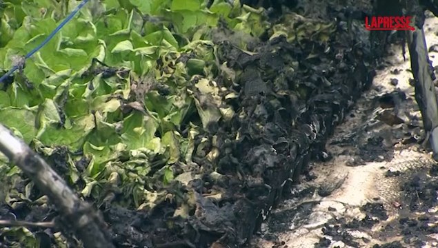 Corea del Sud, interi villaggi divorati dagli incendi: le immagini