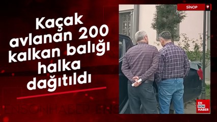 Sinop'ta kaçak avlanan 200 kalkan balığı halka dağıtıldı