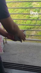 “Recycle Man” Transforms Used Masks Into Bricks