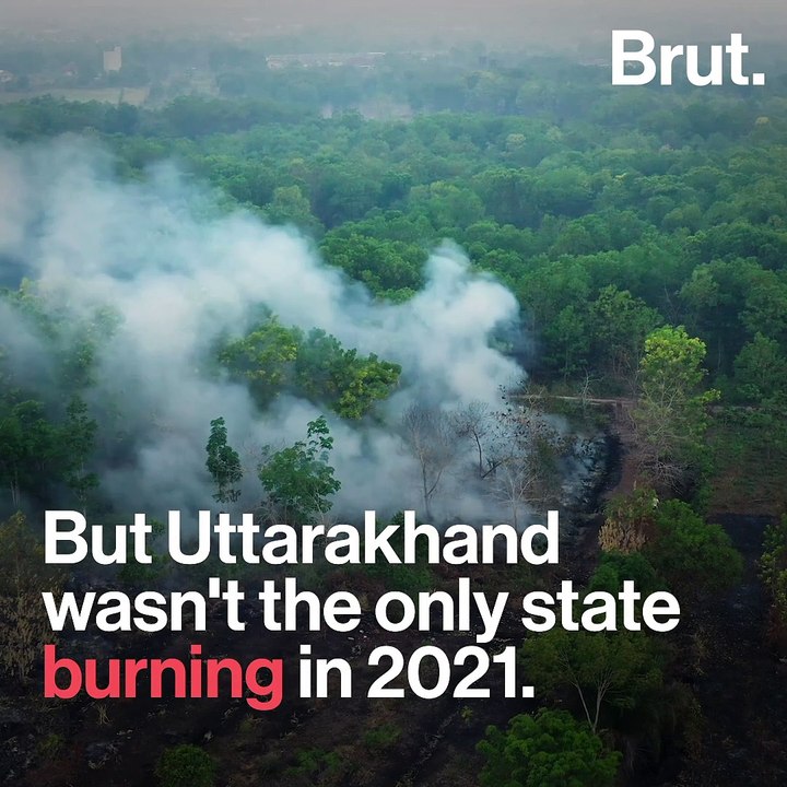 Why Is India Burning?