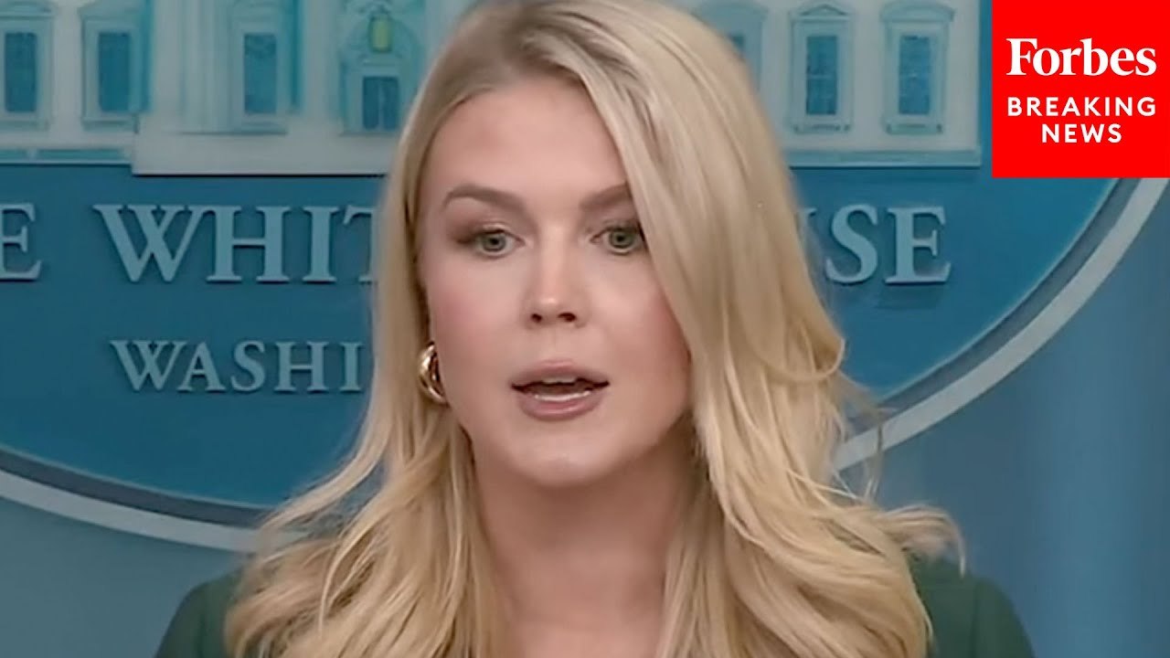 Karoline Leavitt Asked: Would Yemen Strike Have Been Called Off If Leaked Chat Was Published First?