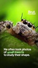 The Man Who Makes Art On Pencils