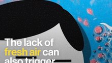 Too Much Pollution = Too Little Copulation?