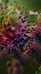 Cancellations Due To Coronavirus