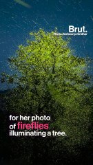 First Adult Indian Woman To Win Wildlife Photographer Of The Year